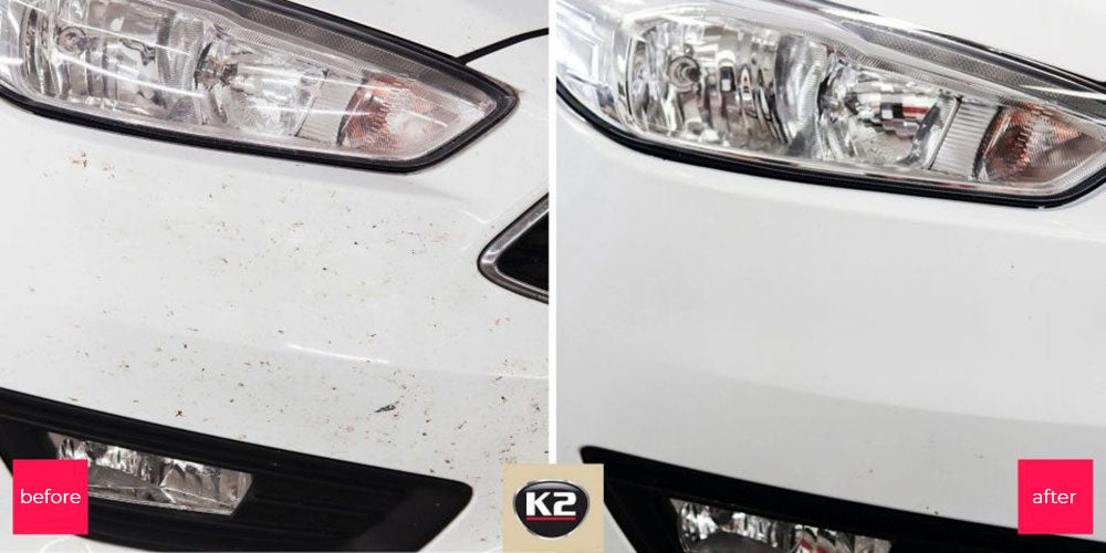 K2 sredstvo za uklanjanje insekata i lešina Nuta 770ml